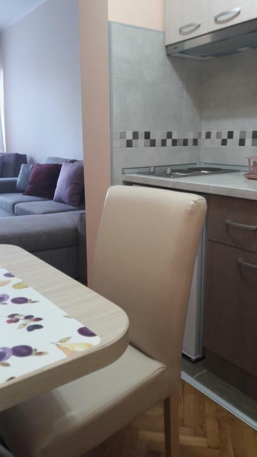 Apartmani V&F Врнячка-Баня Екстер'єр фото